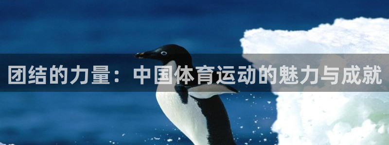 bbin视讯游戏官网