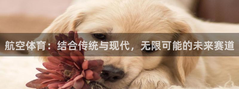 bbin视讯游戏官网