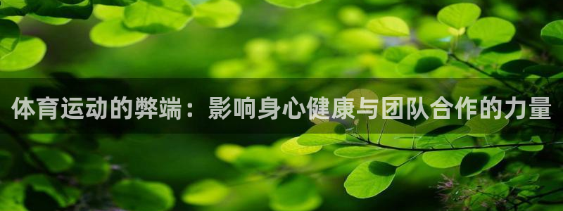 bbin视讯游戏平台