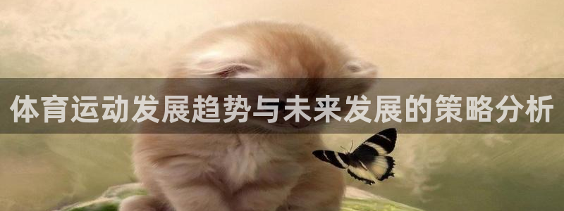 bbin视讯下