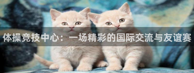 bbin视讯