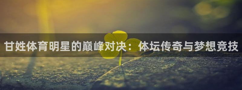 bbin视讯游戏官网