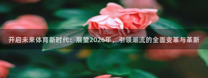 bbin视讯下